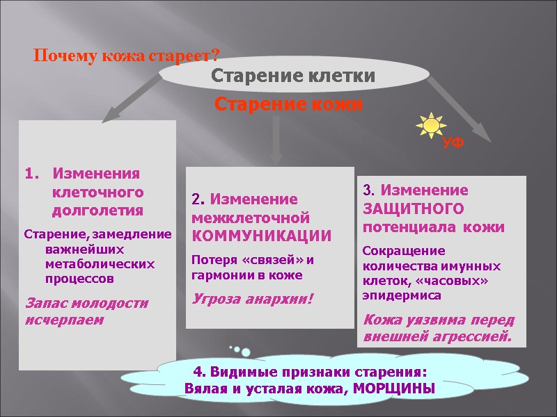 Изменения клеточного долголетия  Старение, замедление важнейших метаболических процессов Запас молодости исчерпаем 2. Изменение